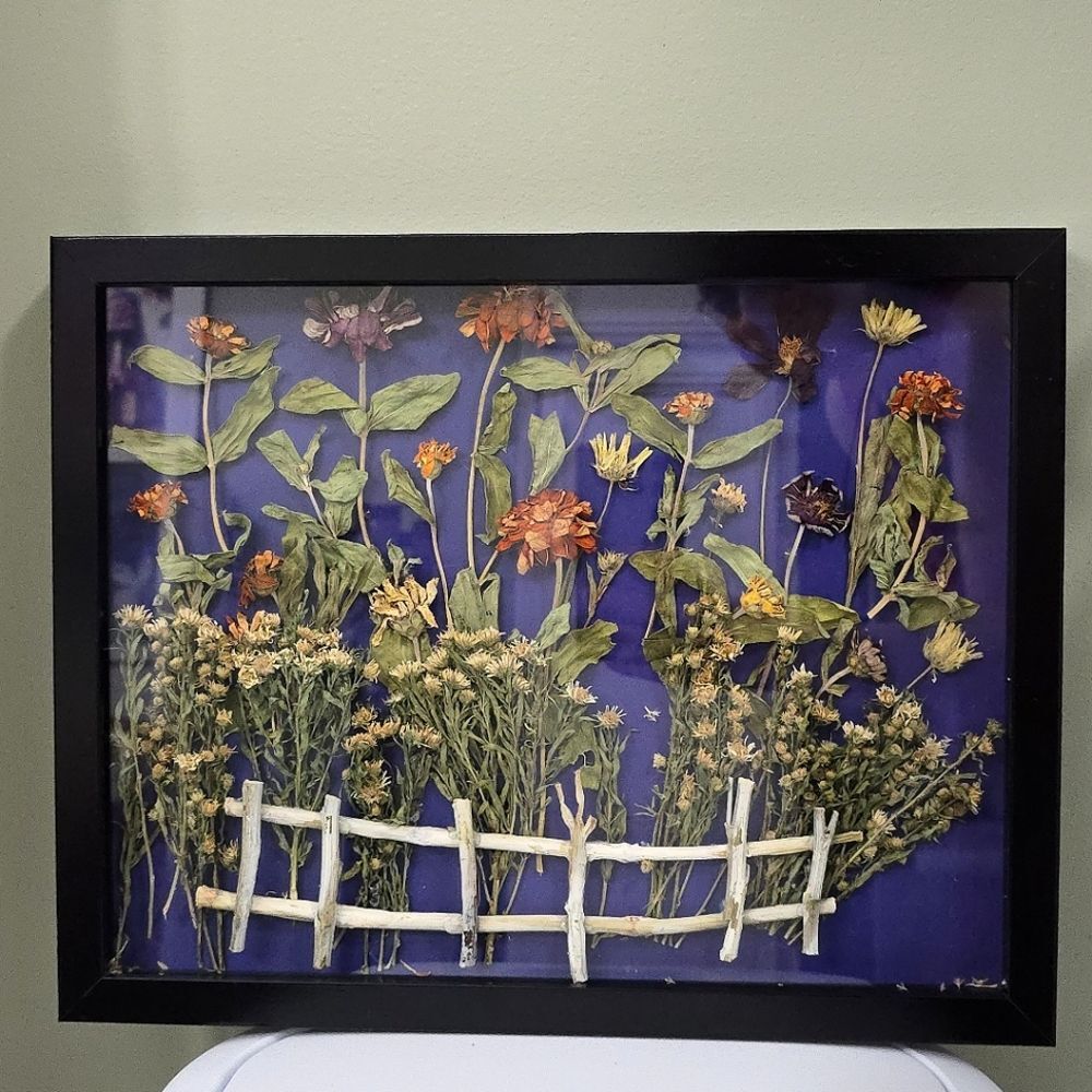 Framed Pressed Dried Flowers Art By Janina Langiewicz